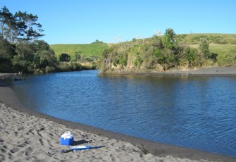 Timaru Stream at End of Weld Road (1)