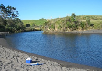 Timaru Stream at End of Weld Road (1)