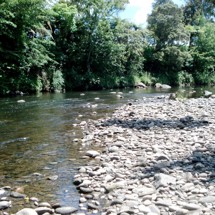 Patea River