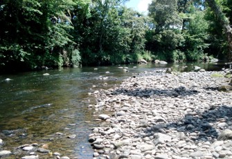 Patea River at Skinner Road