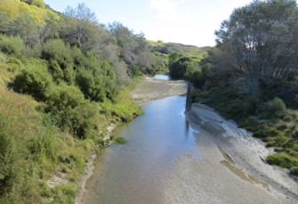 Hikuwai at No4 Br