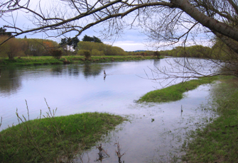 Aparima River at Thornbury