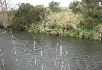 Otautau Stream at Otautau-Tuatapere Road