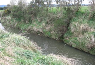 Otautau Stream at Waikouro