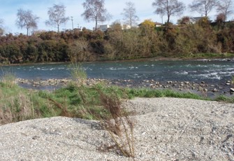 Mataura River 200m D/S Mataura Bridge