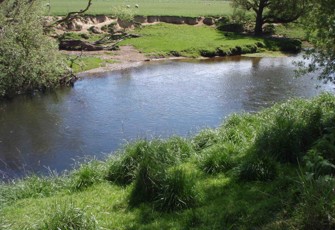 Mokoreta River at Wyndham River Road