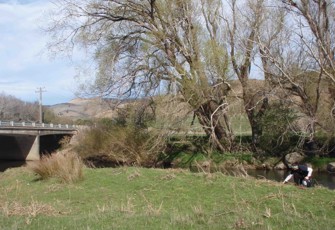 Otamita Stream at Mandeville