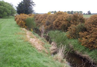 Bog Burn D/S Hundred Line Road