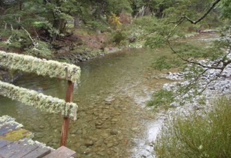 Cromel Stream at Selbie Road