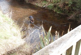 Dunsdale Stream at Dunsdale Reserve