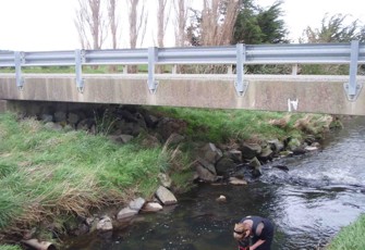 Tussock Creek at Cooper Road
