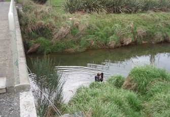 Waikiwi Stream at North Road