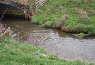 Tokanui River at Fortrose Otara Road