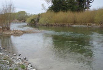 Mararoa River at the Key