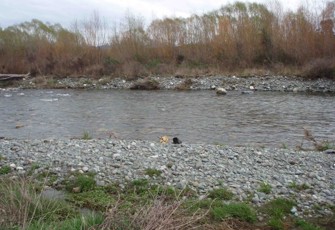 Whitestone River DS Manapouri-Hillside