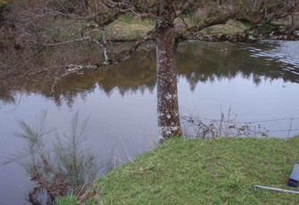 Waikawa River at Progress Valley