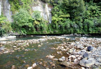 Mangaehu River