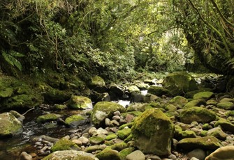 Patea River under Barclay Road Bridge