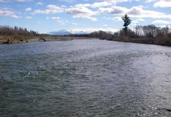 Ashburton River at Hills Rd - Upstream