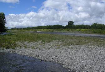 Ashburton River at Hills Rd - Downstream