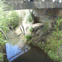 Kaipara River