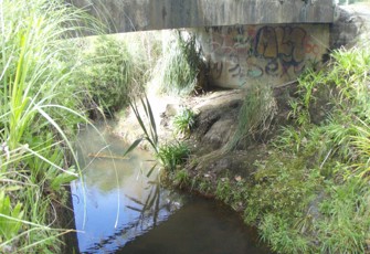 kumeu riverhead