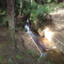 West Hoe Stream