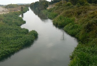 Pongakawa at SH 2