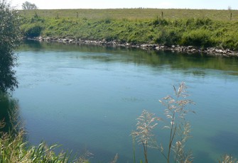 Kaituna at Te Matai Rail Bridge