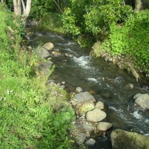Aylmers Valley Stream