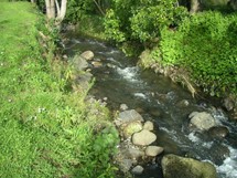 Aylmers Valley Stream