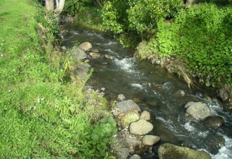 Aylmers Valley Stream opposite Aubrey Street upstream