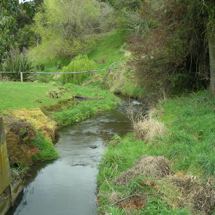 Barry's Bay Stream