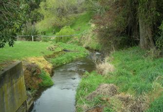 Barrys Bay Stream site