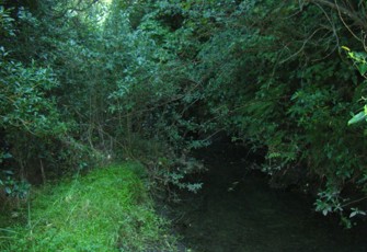Blue Duck Creek