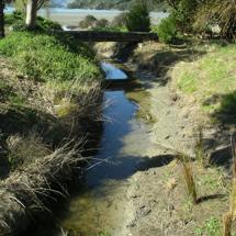 Living Springs
