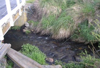 Warren Creek site