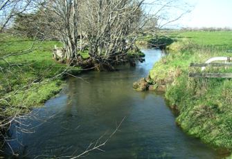 North Brook downstream
