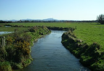 North Brook upstream