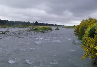 arundel 3