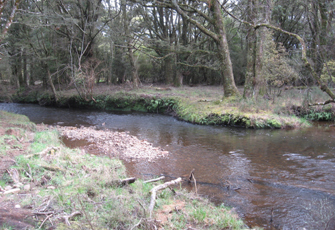 Cascade Stream at Pourakino Valley Road