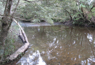 Pourakino River at Ermedale Road