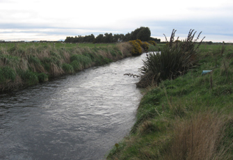 Waimatuku Stream at Lorneville Riverton