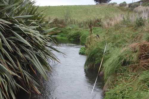 Tokanui River