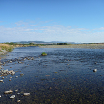 Aparima River