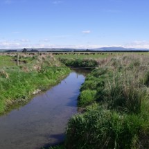 Whitneys Creek