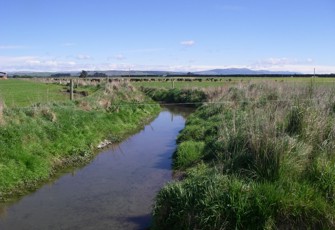 Whitneys Creek