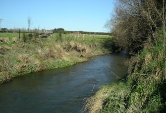 Ohoka River upstream