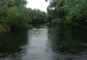 Otukaikino River (South Branch) at DIckeys Road Bridge upstream