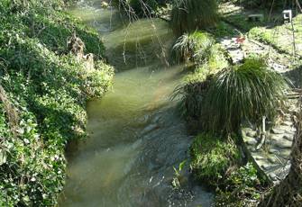 Southbrook Stream at Marsh Road upstream